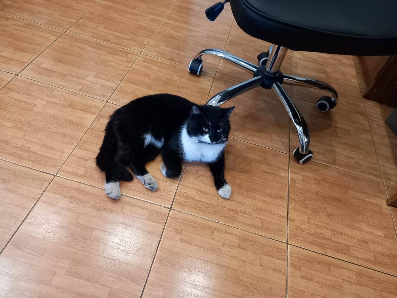 О погоде на 6 декабря. В Краснодарском крае облачно с прояснениями О погоде на 6 декабря. В Краснодарском крае облачно с прояснениями