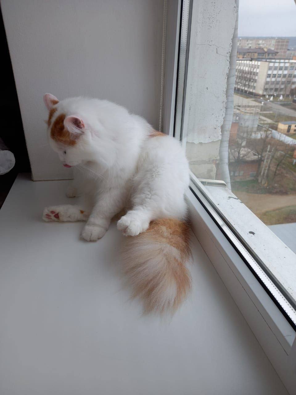 О погоде на 6 декабря. В Краснодарском крае облачно с прояснениями О погоде на 6 декабря. В Краснодарском крае облачно с прояснениями