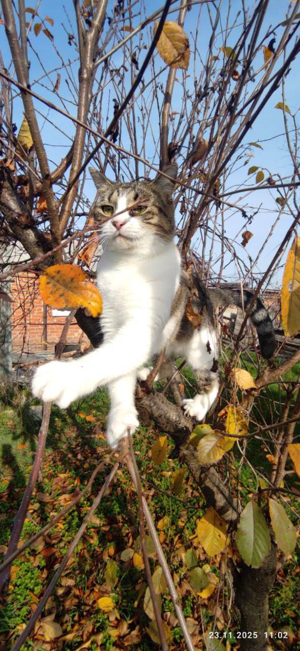 О погоде на 7 декабря. В Краснодарском крае облачно с прояснениями О погоде на 7 декабря. В Краснодарском крае облачно с прояснениями