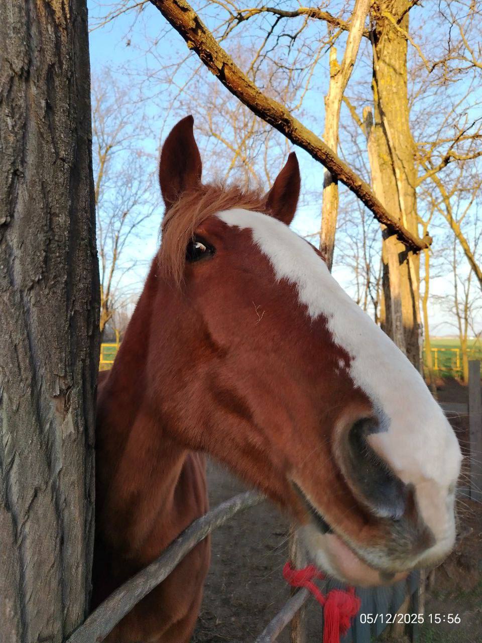 О погоде на 7 декабря. В Краснодарском крае облачно с прояснениями О погоде на 7 декабря. В Краснодарском крае облачно с прояснениями