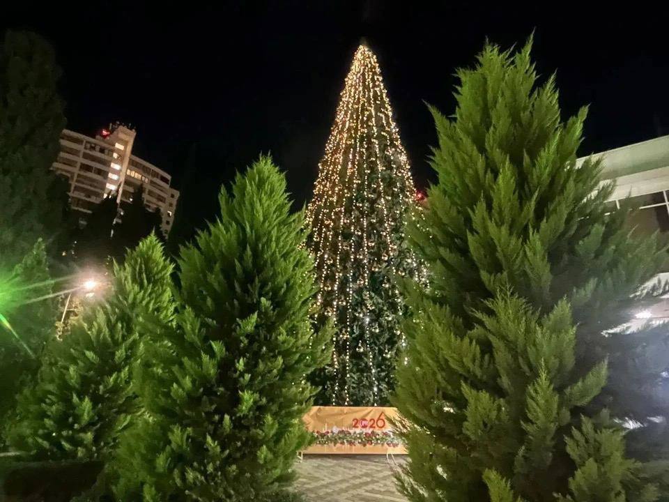 Главную праздничную елку собирают в Сочи