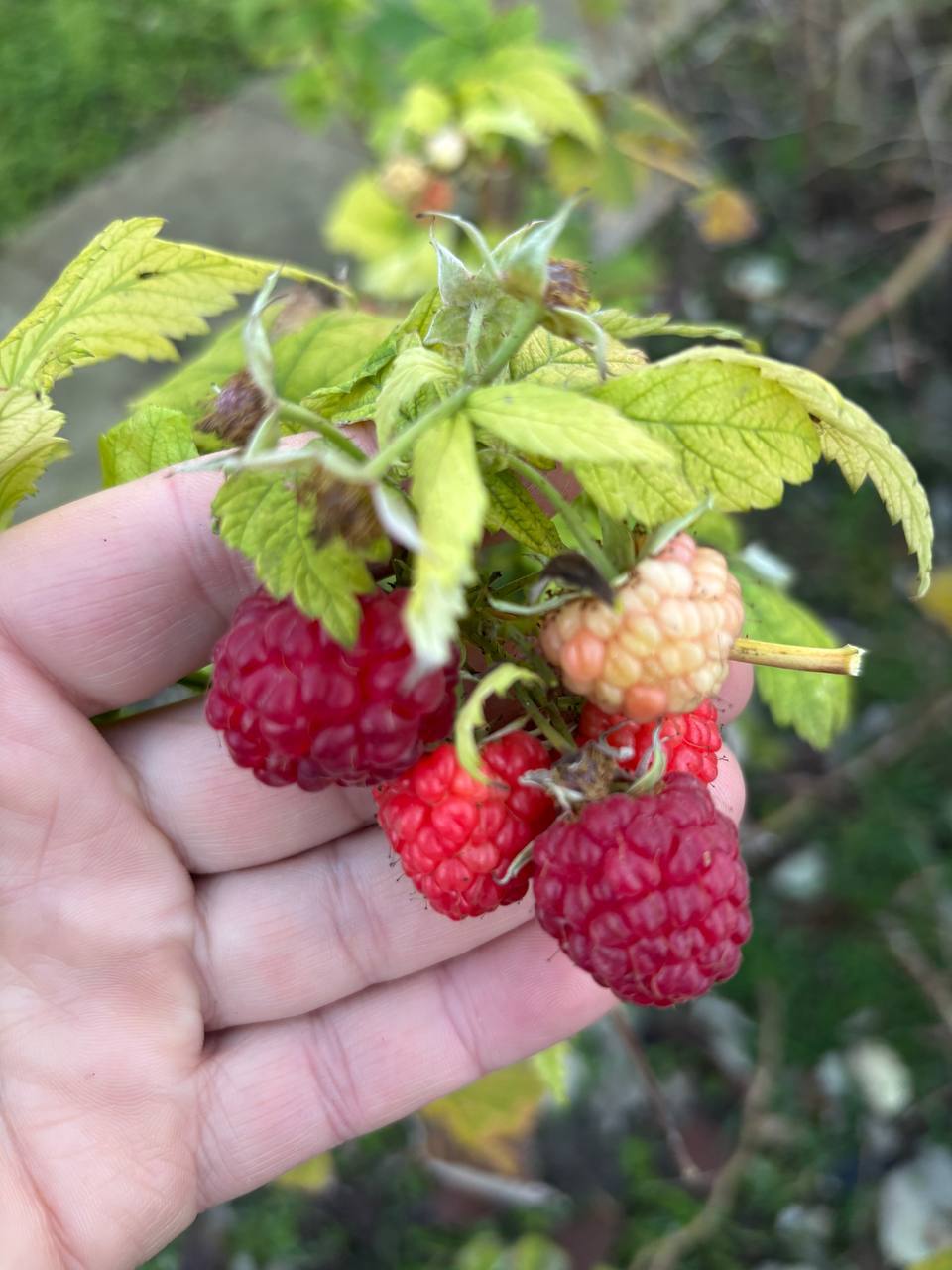 О погоде на 7 декабря. В Краснодарском крае облачно с прояснениями О погоде на 7 декабря. В Краснодарском крае облачно с прояснениями