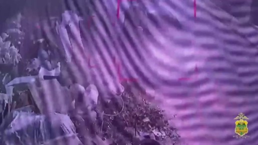 В Хостинском районе Сочи выявлено сразу четыре «черных мусорщика»