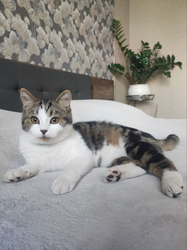 ������ ����, ������!. ��������� +6 ��