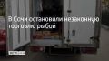 В ходе рейдов по пресечению незаконной уличной торговли в Хостинском районе и селе Веселом полицейские обнаружили троих торговцев, которые продавали свежую рыбу без регистрации ИП. На нарушителей составили административные...