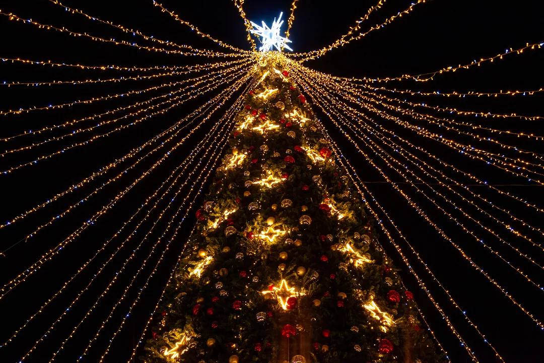 Цены на проживание в отелях Сочи в период новогодних праздников увеличились в среднем на 7–10%, однако часть гостиниц сохранила стоимость размещения на уровне прошлого года