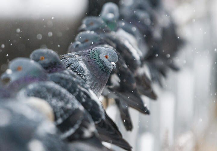 ����� ����������� ���� ��������� � ������������� ����