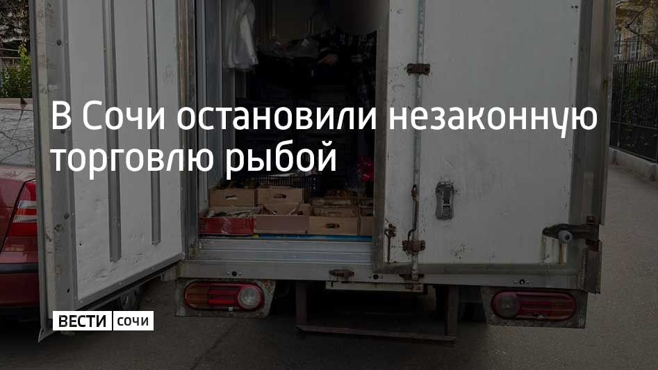 � ���� ������ �� ���������� ���������� ������� �������� � ���������� ������ � ���� ������� ����������� ���������� ����� ���������, ������� ��������� ������ ���� ��� ����������� ��. �� ����������� ��������� ����������������...