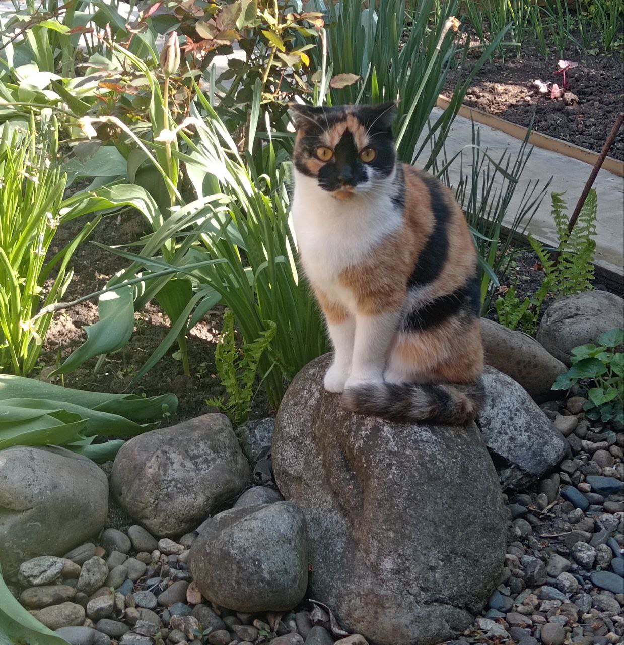 Доброе утро, Кубань!. Краснодар +7 °С