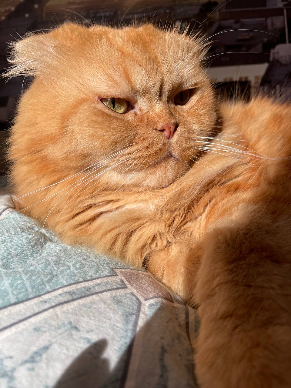 Доброе утро, Кубань!. Краснодар +7 °С Доброе утро, Кубань!. Краснодар +7 °С