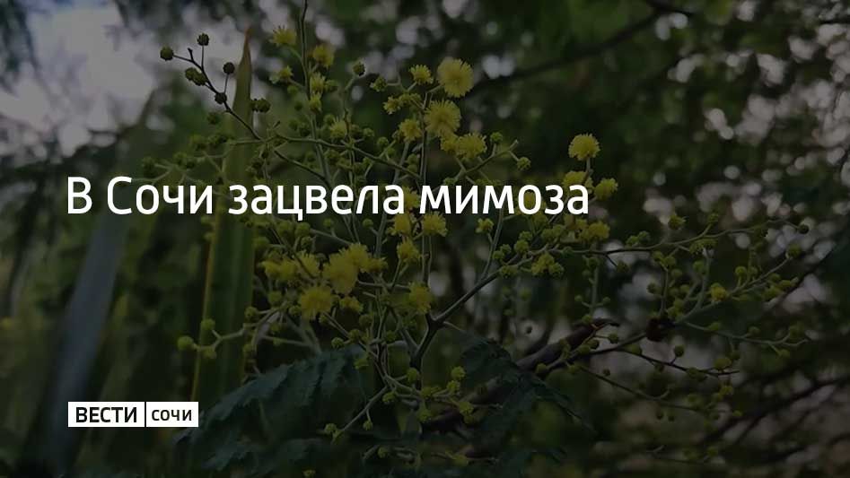 �������� ������ � ����� "���������"