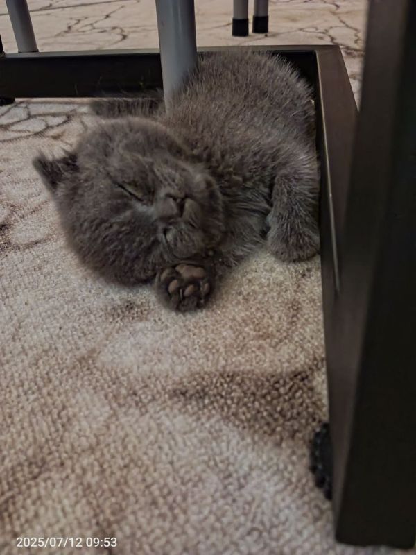 ������ ����, ������!. ��������� +5 ��