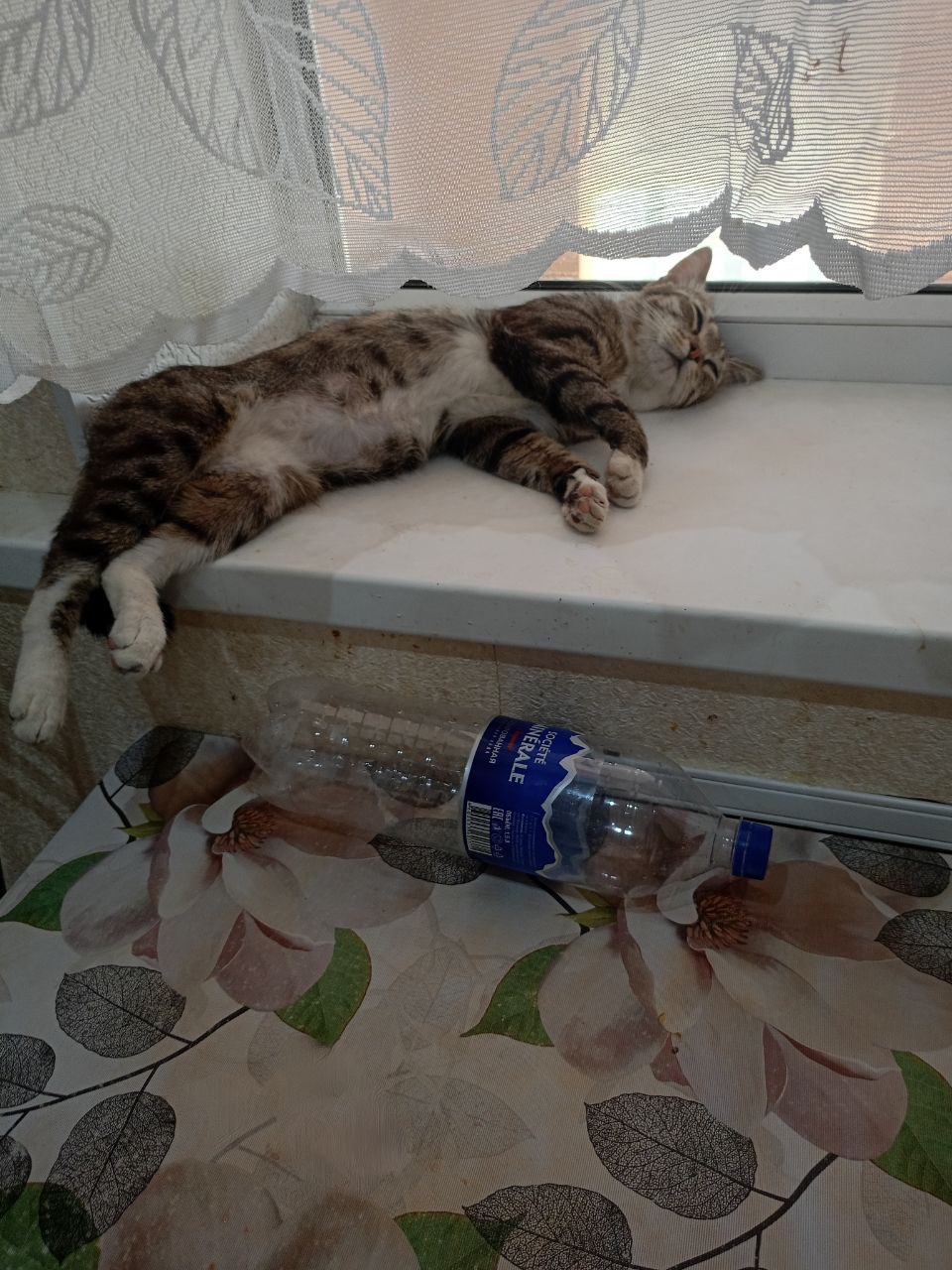 Доброе утро, Кубань!. Краснодар +5 °С Доброе утро, Кубань!. Краснодар +5 °С