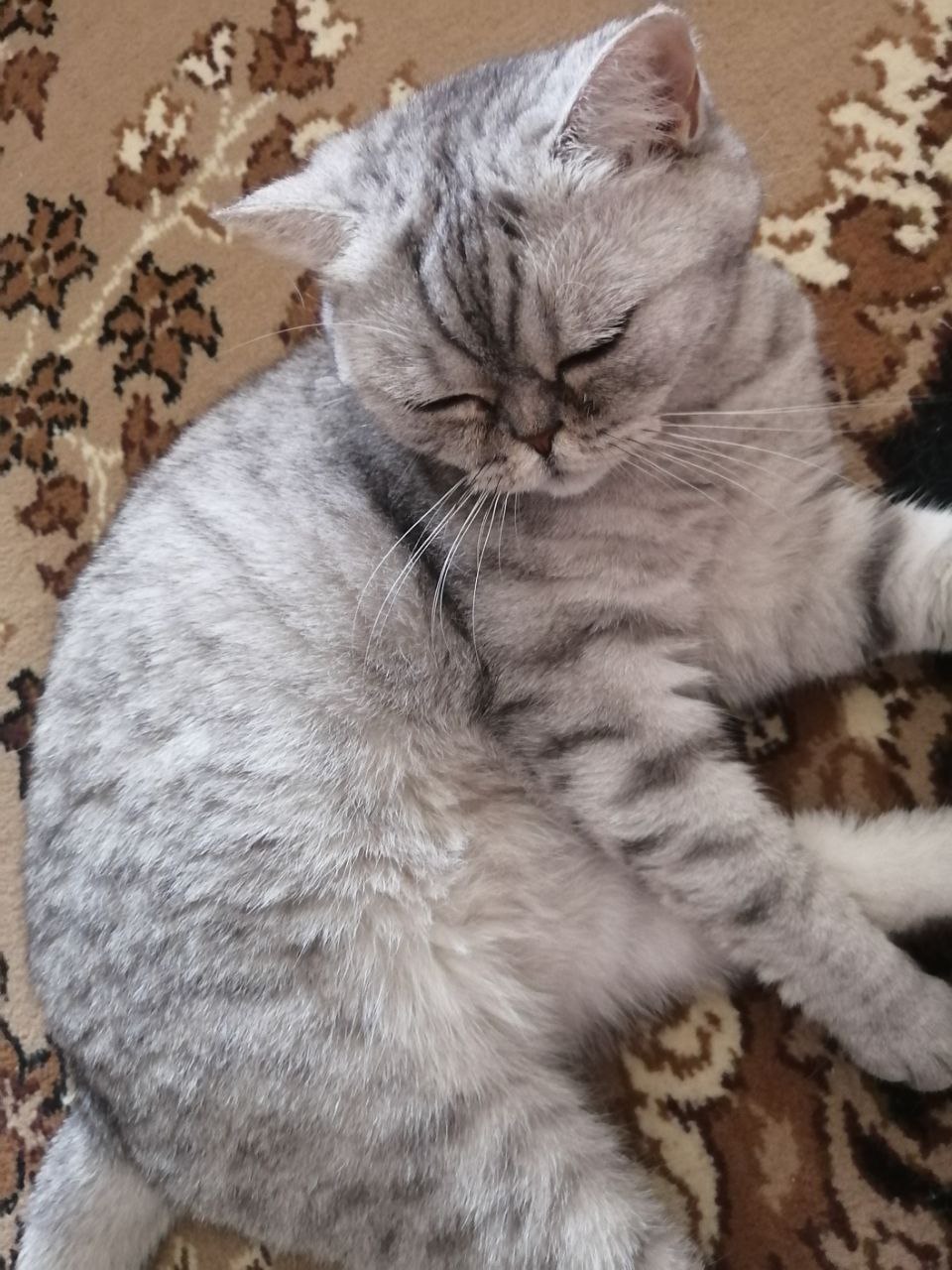 Доброе утро, Кубань!. Краснодар +5 °С Доброе утро, Кубань!. Краснодар +5 °С