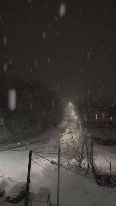 ���� ����� ������ ���� ����� �� ����������� �������� ����