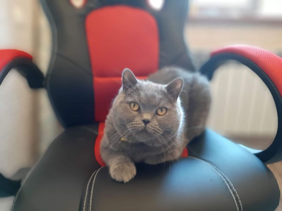 ������ ����, ������!. ��������� +8 ��