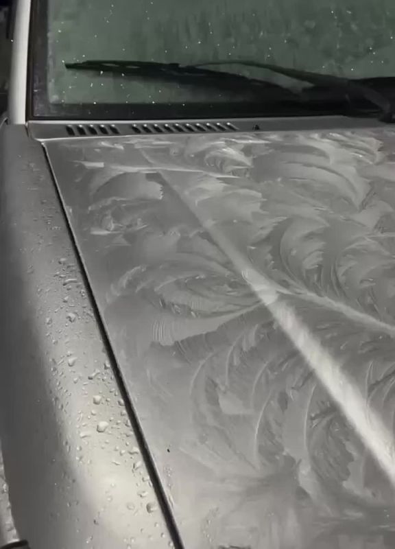 �������� ������: �� ������� � ���� ��������� ������� �����