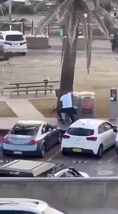 �������: ������� ���� � ����� � ������ �� ��������� ����� �� �������