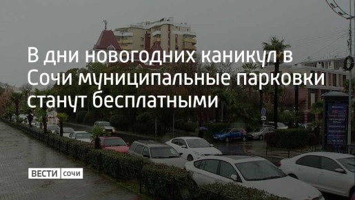 Плату за парковку не будут брать с 31 декабря по 11 января