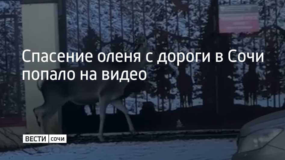 �������� ����� � ������ � ���� ������ �� �����