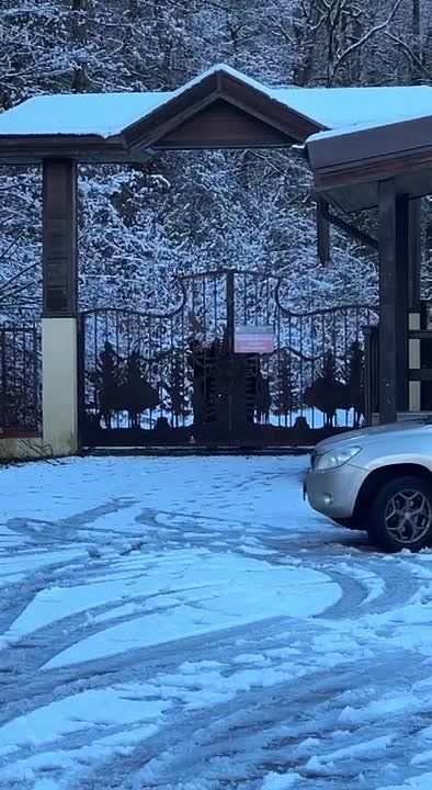 ���������� ������ ����� ������: �������� �� �������� ������� ������� � ����� ����