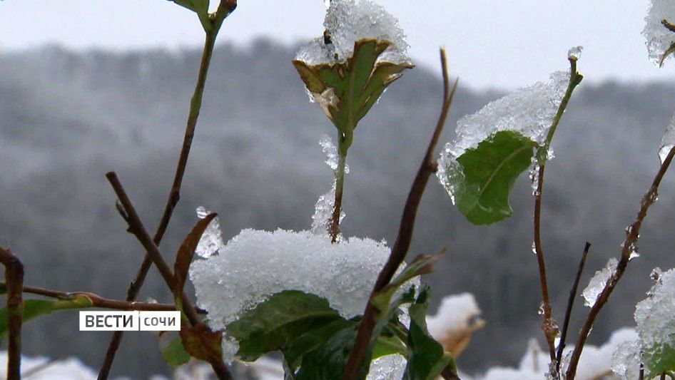 � ������ �������� ���� ��������� ��������� �����