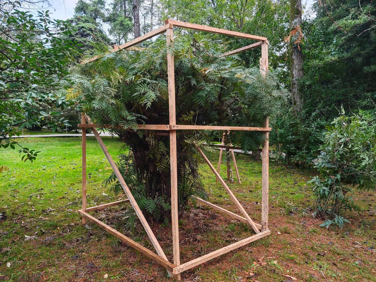 Южные растения укрыли от холодов в сочинском дендропарке Южные растения укрыли от холодов в сочинском дендропарке