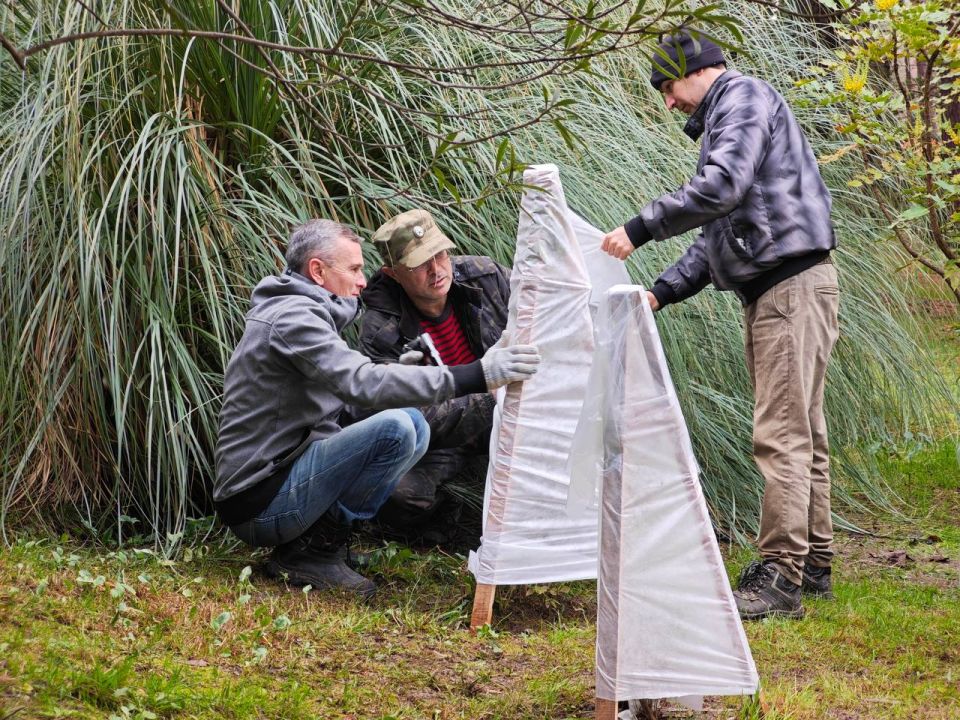 ����� �������� ������ �� ������� � ��������� �����������