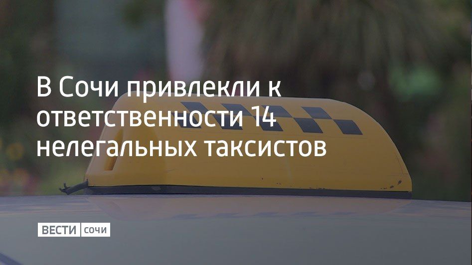 В Сочи проверяют вокзалы и аэропорты перед предстоящим зимним сезоном.Основная цель таких рейдов – остановить незаконную предпринимательскую деятельность таксистов и зазывал