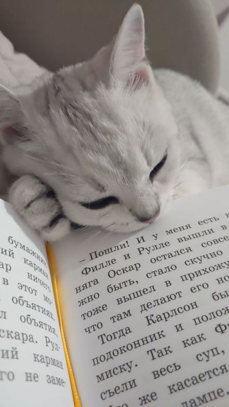 ������ ����, ������!. ��������� +7 ��