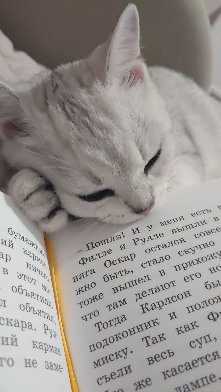 Доброе утро, Кубань!. Краснодар +7 °С