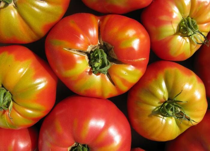 ��� ������ ������� ��������: ������������ ������ ��� ���������