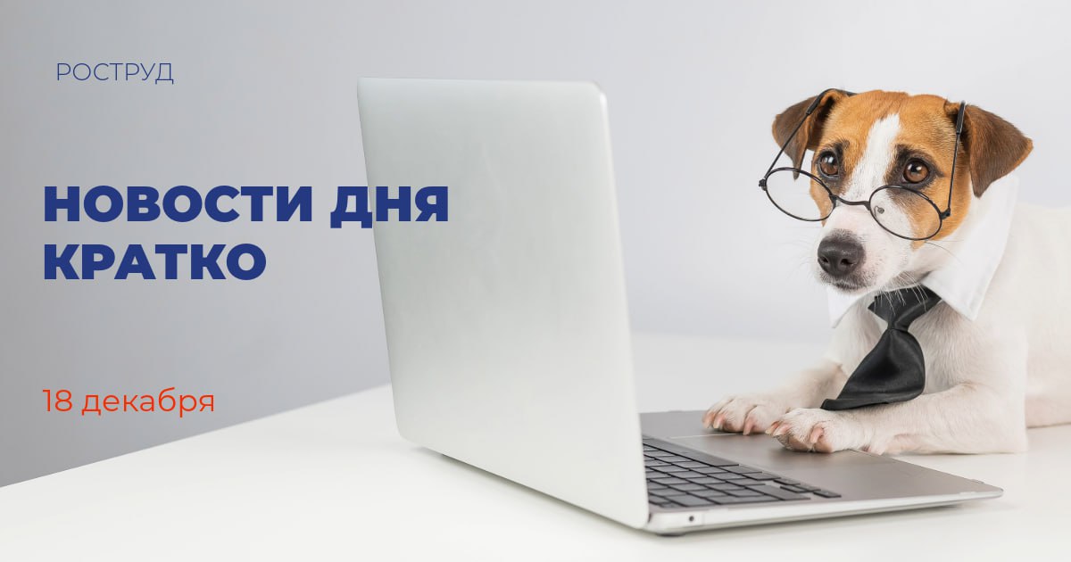 В 2026 году в рамках молодежных лабораторий будет создано около 2 тыс