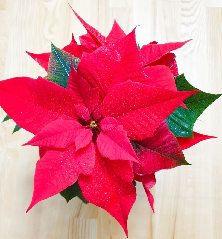 ����������: ���������� ���� ��� ������ ���������