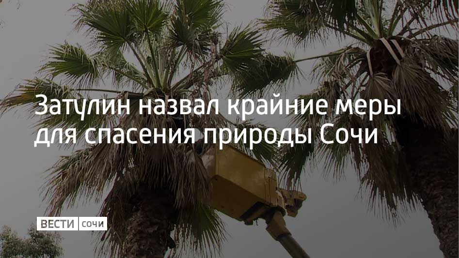 �������� �������� � �������� ��������� �������, ������������� ����������, ��� � �������������� �� ������� ������ �������� ����� �� ����� ������� ����� ��� �������� ���������� �������������� ������� ����