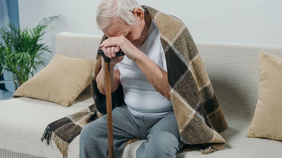 ��� ��������� ����������: ������ ��� ����������� ����� ������ �������