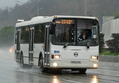 #������������������. ������� ������ ������� ����� � �������� ��������� ����������� ���������� � �����, � �� �� ����������!