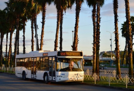 ������ ����!. �������