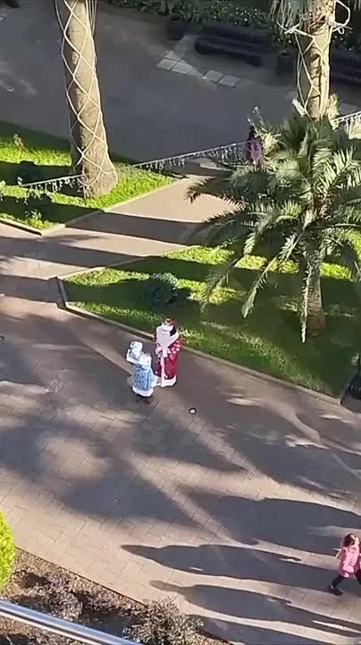 Явно не местные!. Среди пальм и легких курток сочинцы увидели Деда Мороза и Снегурочку
