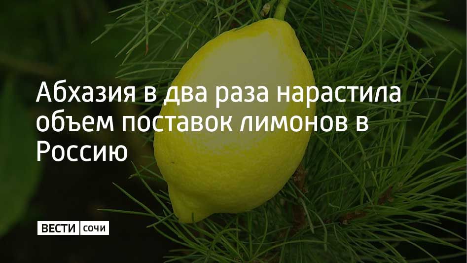 � 2025 ���� ����������� ������������ ���������� ������� �������� ������� �� ������� � ������