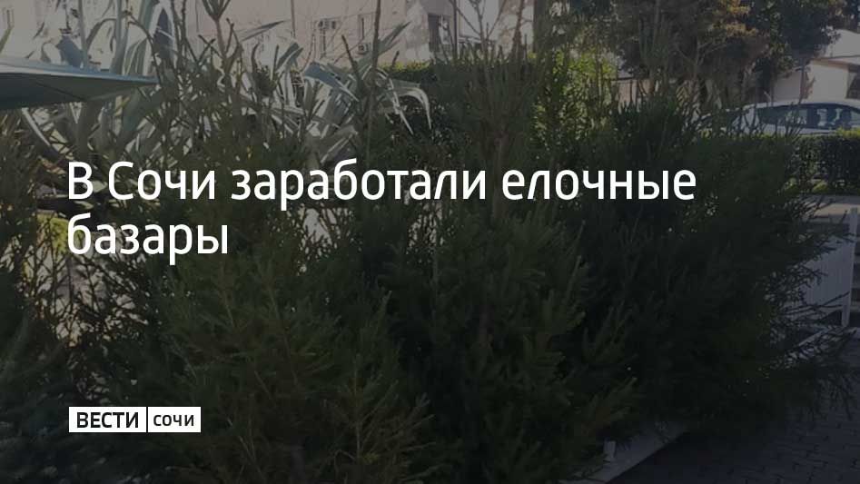 ���� �� ���� ���������� �� ���� ����� ������, ����� ������� �� 300 ������