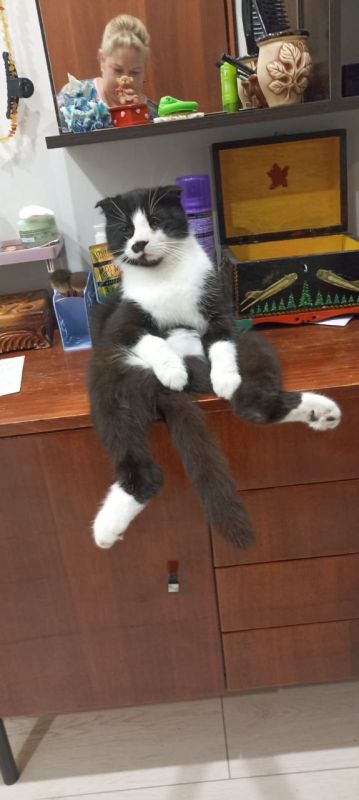 ������ ����, ������!. ��������� +6 ��