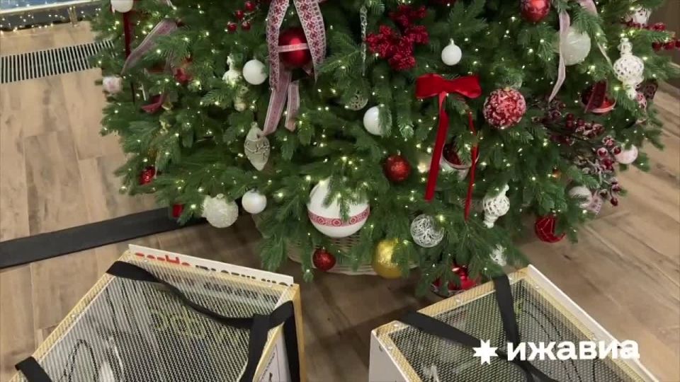 ��� ��������� �������� ��������� � ������