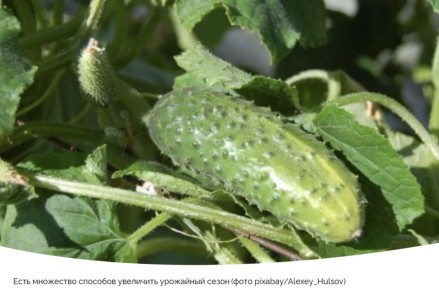 ����������� ������ ��������� ������������ �������