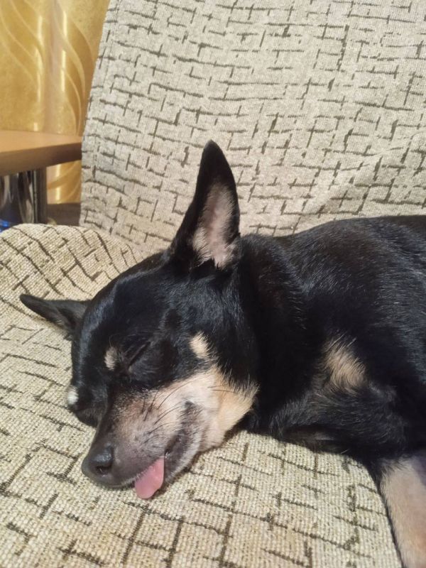 Доброе утро, Кубань!. Краснодар +4 °С