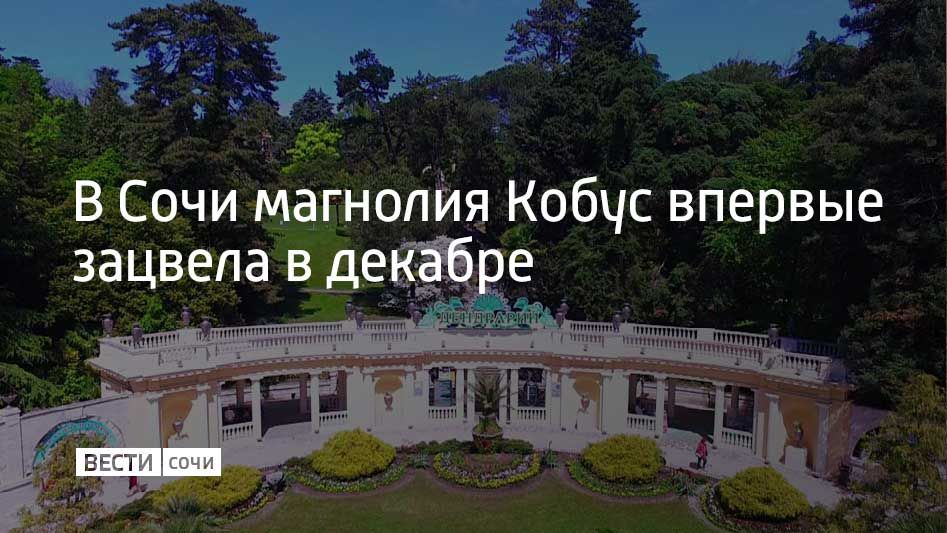 ������� �� ��������� 10 ��� � ����� "���������" �������� ����� ���������� ���� ������ � �������, ���� ������ ��� ������ ����������� � �����, ���������� � �����-������ ���������� ��������