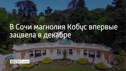 ������� �� ��������� 10 ��� � ����� "���������" �������� ����� ���������� ���� ������ � �������, ���� ������ ��� ������ ����������� � �����, ���������� � �����-������ ���������� ��������