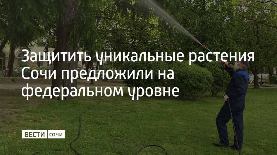 ���������� �������: �������� ���������� �������� ���� ���������� �� ����������� ������