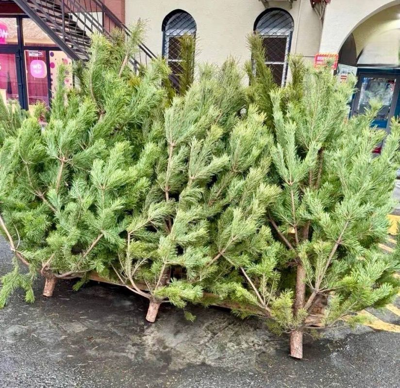 �������� ����� � ����: ���������� ������ ��������� �� ���������� ��������