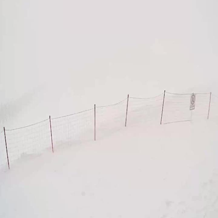 �� 75 �� ������� ������ �������� ������� � ����� ����